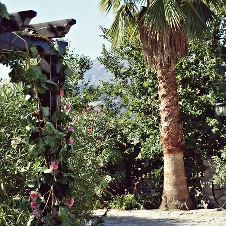 Cortijo Salinas 4*