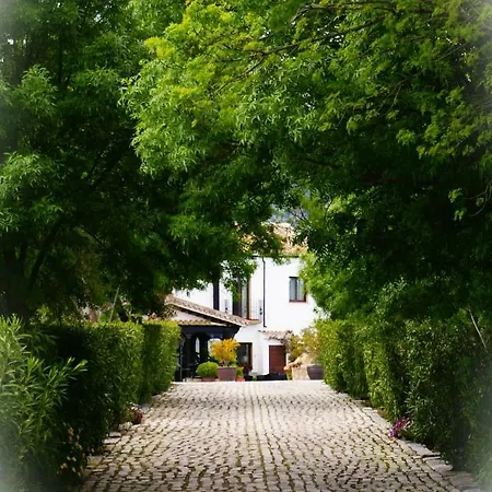Cortijo Salinas Hotel